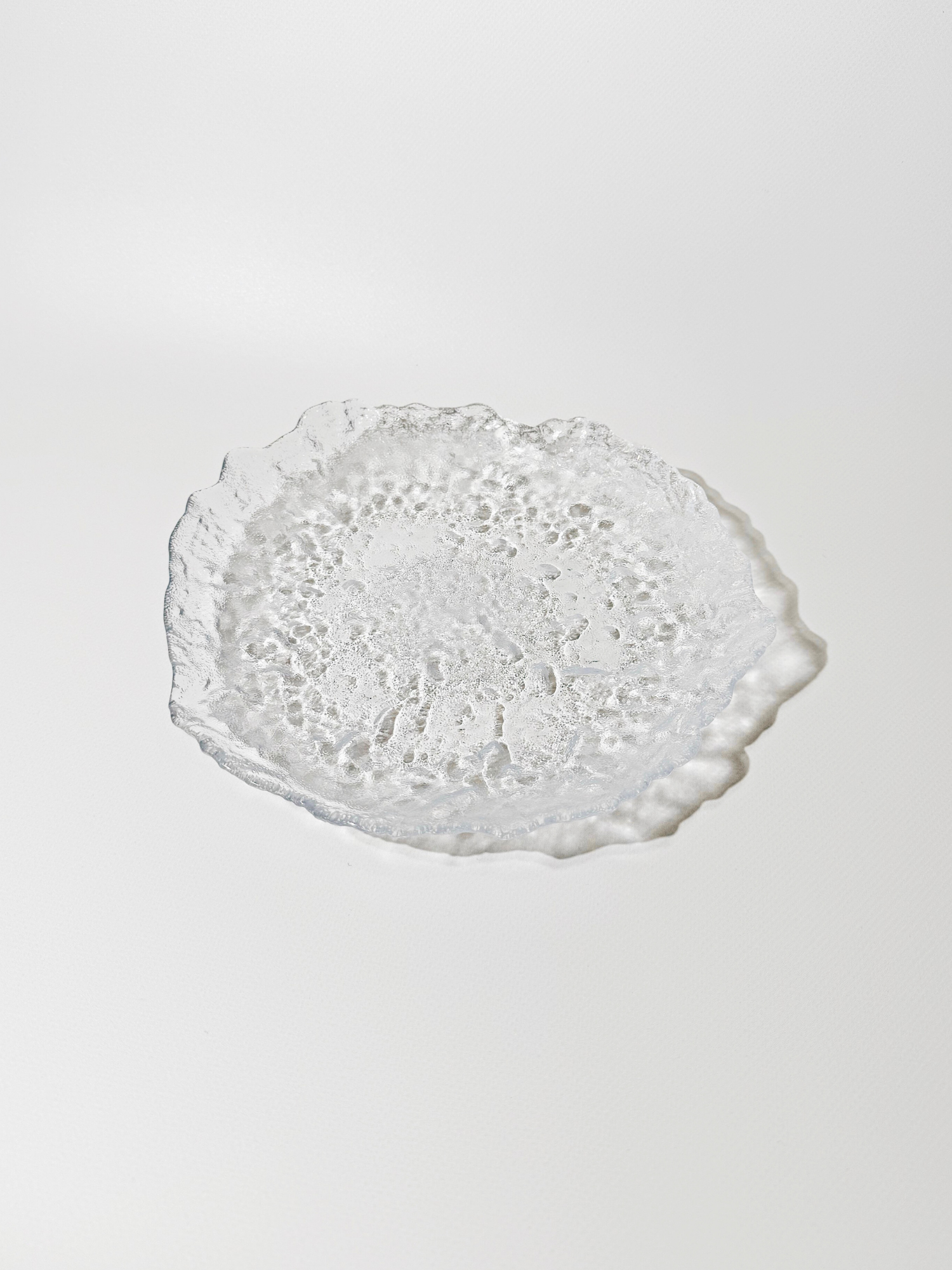 OCEN Dinner Plate