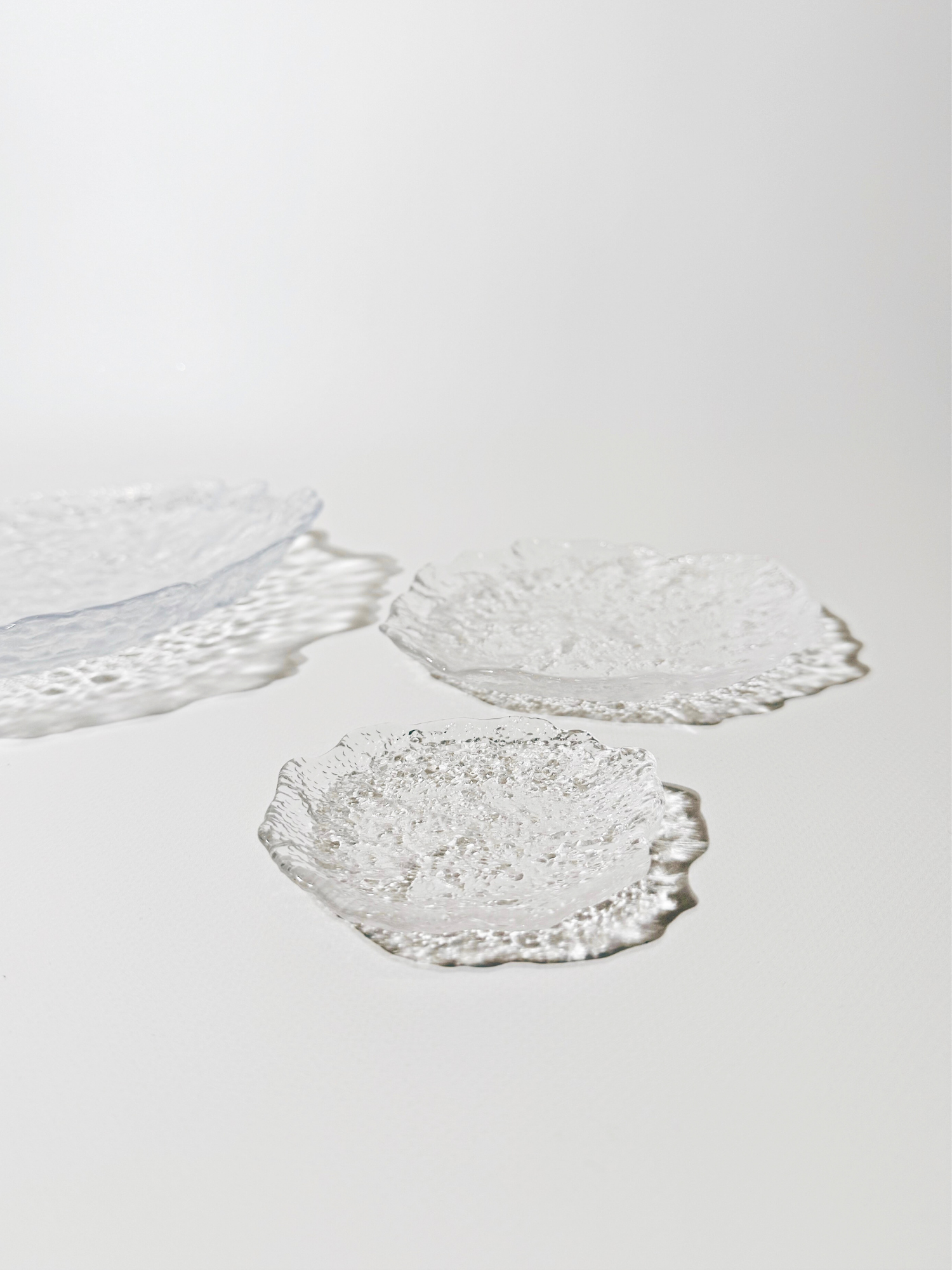 OCEN Plate Bundle - 8 piece
